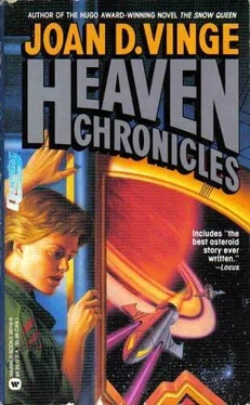 Joan Vinge Heaven Chronicles обложка книги