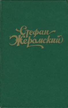 Стефан Жеромский Под периной (из дневника) обложка книги