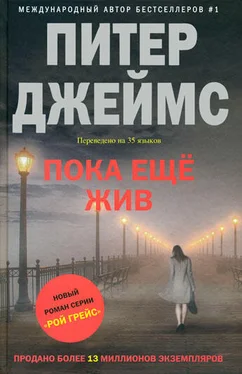 Питер Джеймс Пока еще жив обложка книги