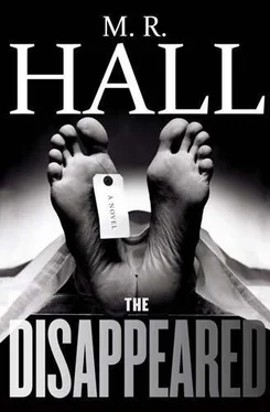 M.R. Hall The Disappeared обложка книги