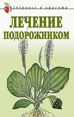 Екатерина Андреева Лечение подорожником обложка книги