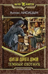 Антон Лисицын - Долгая дорога домой (Темный охотник - 2)