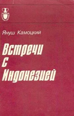 Януш Камоцкий Встречи с Индонезией обложка книги