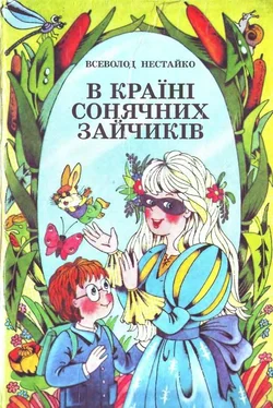 Всеволод Нестайко В Країні Сонячних Зайчиків обложка книги