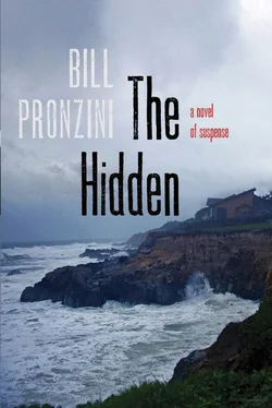 Bill Pronzini The Hidden обложка книги