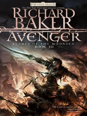 Richard Baker Avenger обложка книги