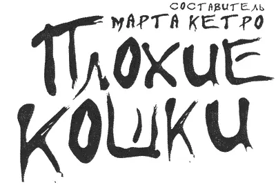 Марта Кетро ЕВИНА РАБОТА Восхитительный но несколько рассеянный израильский - фото 1