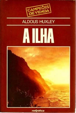 Aldous Huxley A Ilha обложка книги