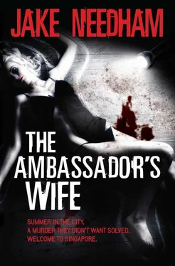 Jake Needham The Ambassador's wife обложка книги