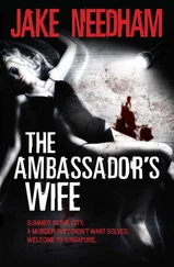 Jake Needham - The Ambassador's wife