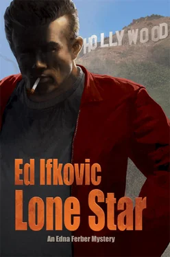 Ed Ifkovic Lone star обложка книги