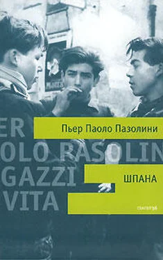 Пьер Пазолини Шпана обложка книги