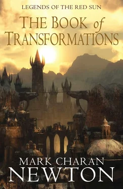 Mark Newton The Book of Transformations обложка книги