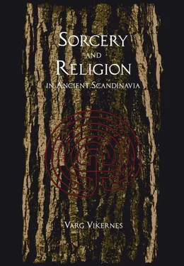 Vikernes, Varg Varg Vikernes - Sorcery and Religion in Ancient Scandinavia обложка книги