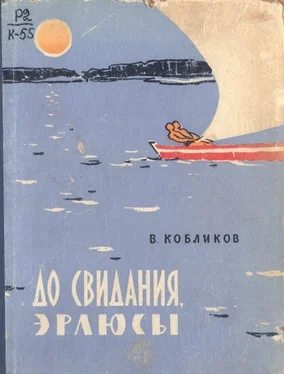 Владимир Кобликов До свидания, эрлюсы обложка книги