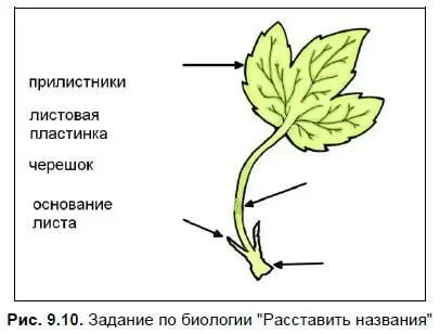 При подготовке задания используются такие элементы как работа с текстом - фото 154