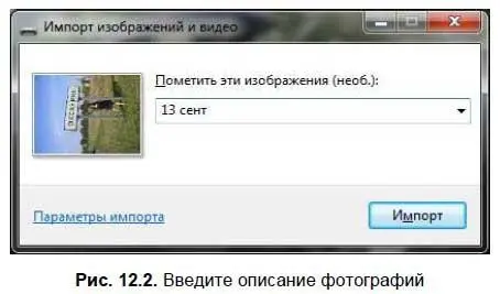 Введите общее описание фотографий и нажмите кнопку Импорт После нажатия кнопки - фото 226