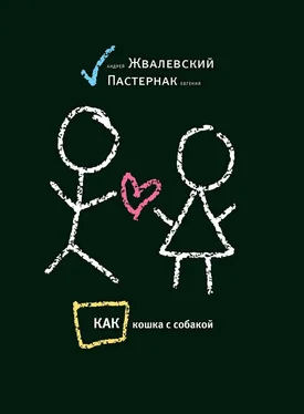 Андрей Жвалевский Как кошка с собакой обложка книги