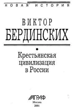 Виктор Бердинских Крестьянская цивилизация в России обложка книги