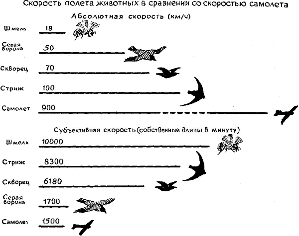 При большой скорости полёта выгоднее иметь более обтекаемую форму тела - фото 109