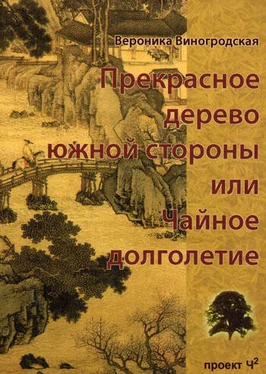 Вероника Виногродская Прекрасное дерево южной стороны, или Чайное долголетие обложка книги