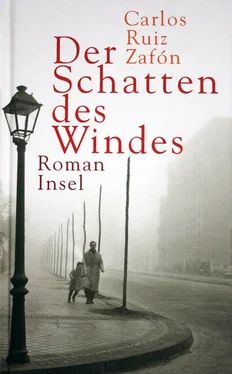 Carlos Zafón Der Schatten des Windes обложка книги