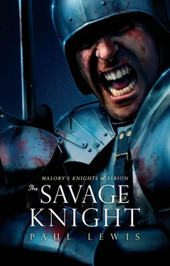 Paul Lewis The Savage Knight обложка книги
