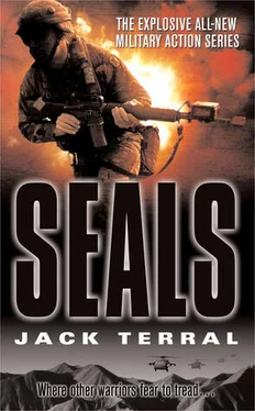 Jack Terral Seals (2005) обложка книги