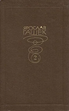 Ярослав Гашек Как мой друг Ключка рисовал святую Аполену обложка книги