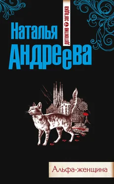 Наталья Андреева Альфа-женщина обложка книги