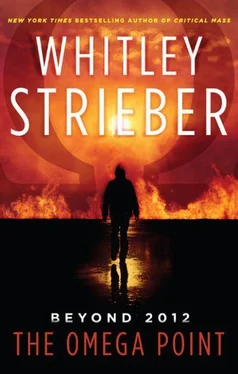 Whitley Strieber The Omega Point обложка книги