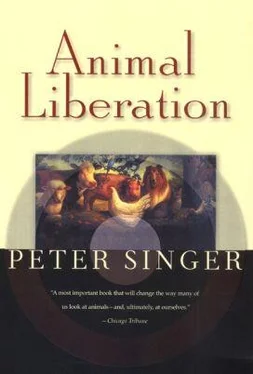 Питер Сингер Освобождение животных обложка книги