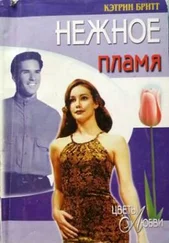 Кэтрин Бритт - Нежное пламя