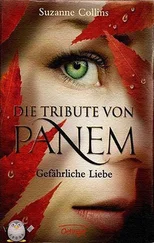 Collins Suzanne - Gefaehrliche Liebe