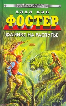 Алан Фостер Флинкс на распутье обложка книги