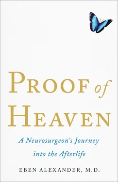 Eben Alexander Proof of Heaven обложка книги