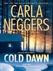Carla Neggers - Cold Dawn