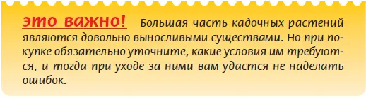 Итак прежде всего не стоит покупать растения по случаю в подземных - фото 12