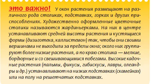 В спальне комнатные растения выращивают реже чем в остальных жилых - фото 16