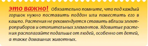Занимаясь фитодизайном важно соблюдать некоторые условия 1 Не переборщить - фото 23