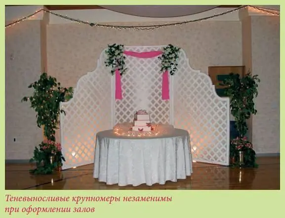 5 Если вы желаете попробовать себя на ниве фитодизайна и создать интересную - фото 24