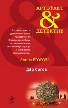 Алина Егорова Дар богов обложка книги