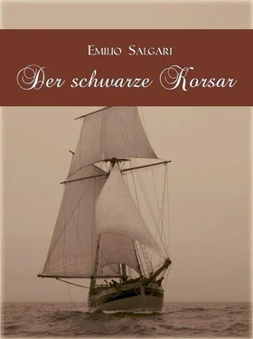 Emilio Salgari Der schwarze Korsar обложка книги