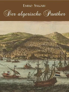 Emilio Salgari Der algerische Panther обложка книги