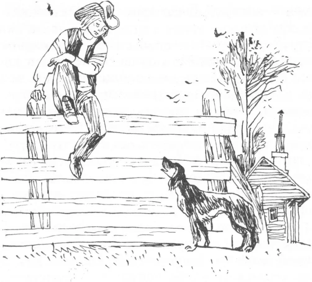 Глава I ПЕНРОД И ЕГО СОБАКА Пенрод сидел на заборе а его маленький пес по - фото 1