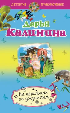 Дарья Калинина На шпильках по джунглям обложка книги