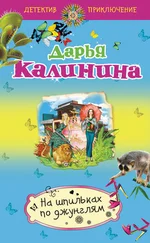Дарья Калинина - На шпильках по джунглям