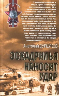 Анатолий Сурцуков Эскадрилья наносит удар обложка книги