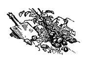 Книга вторая Все девушки прислуживающие графине близко к сердцу принимали - фото 8