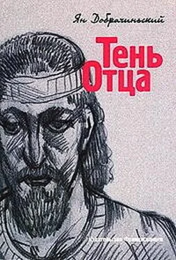 Ян Добрачинский Тень Отца обложка книги